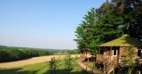 view from treehouses
