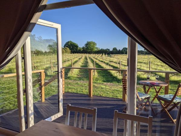 View from pod at Wolds Wine Estate