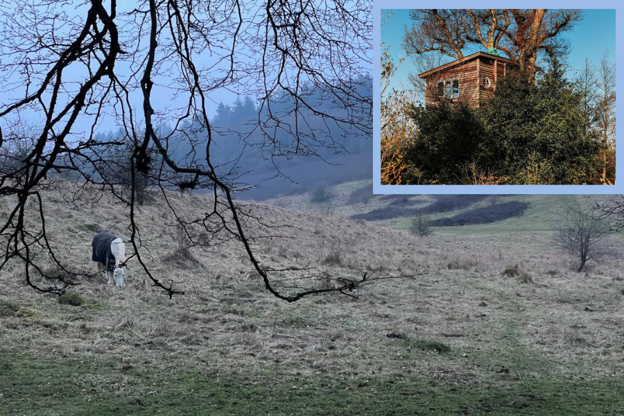 Elham Treehouse and Park Gate Down