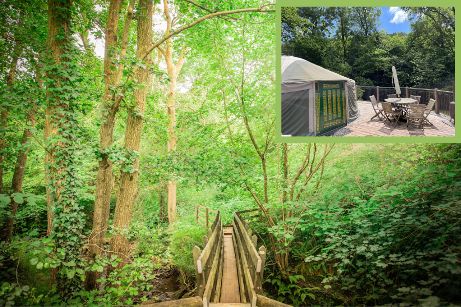 Hidden Valley Yurt and Forest setting