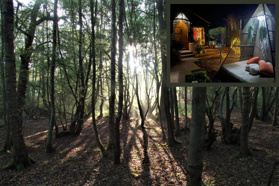 Hideaway Heath with nearby nature reserve Hideaway Heath with nearby nature reserve