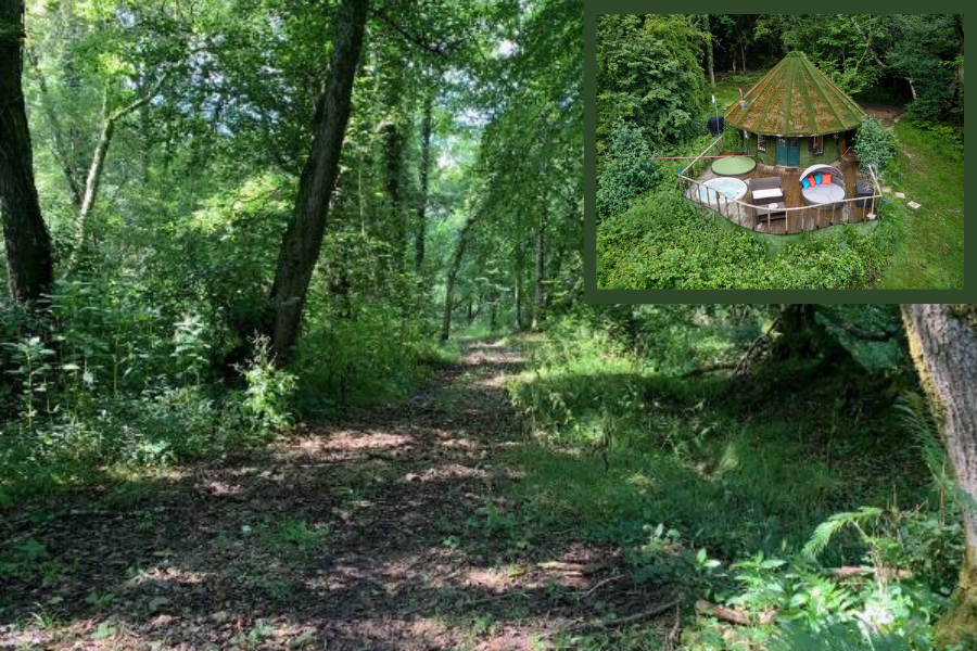 House of Round and woodland setting
