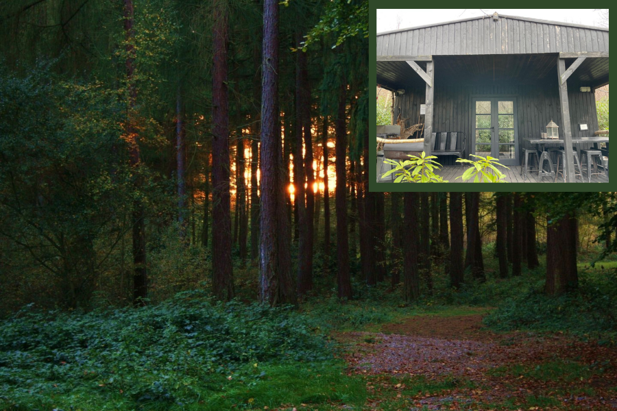 Moon Suite and Woodland setting
