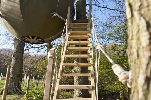 steps up to the tree tent