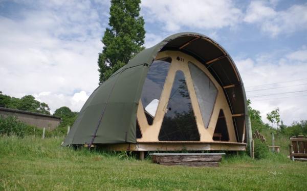The Gridshell