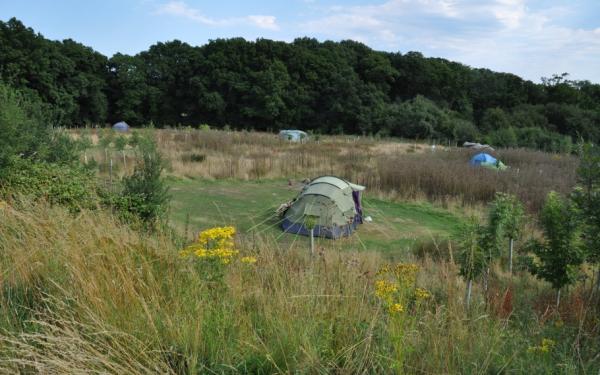 camping pitches