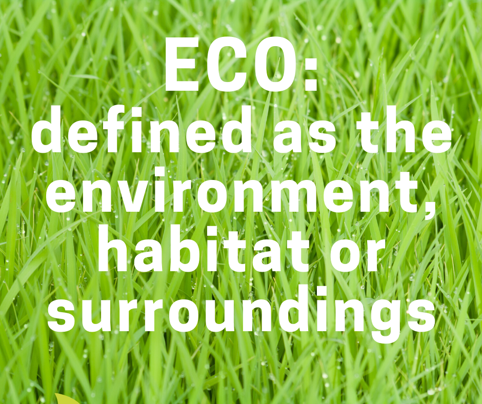 eco meaning 1