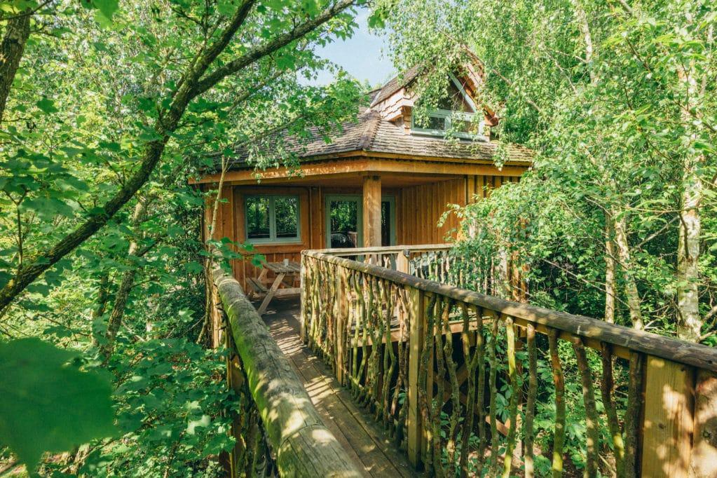 Treehouse exterior hidden amongst trees with a raised walkway leading to the entrance
